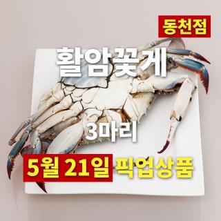 5/21동천점픽업)서해안활암꽃게(1kg/3미)-예약상품 - 새농